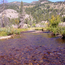 A Stream in Rocky Mountain National Park 1