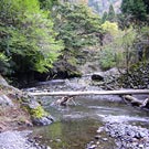 Stream of Amasugawa