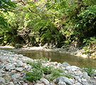 Upper stream