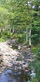 The upper stream